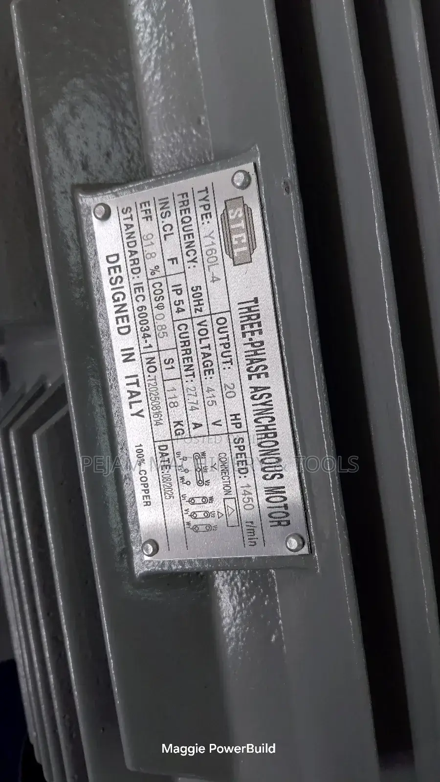 Heavy-Duty STCL Italy 160l-4 20hp Three Phase 1450rpm Electric Motor