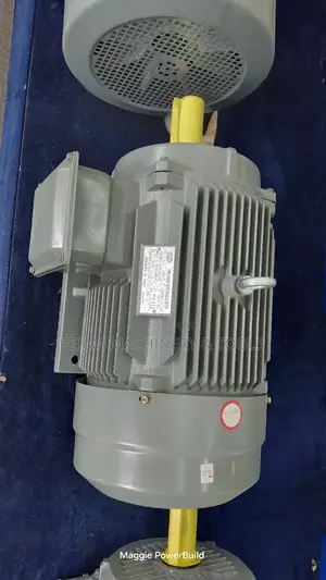 Y160l-2 25hp STCL Italy Three Phase High Speed Motor 2900rpm