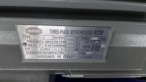 Y160l-2 25hp STCL Italy Three Phase High Speed Motor 2900rpm