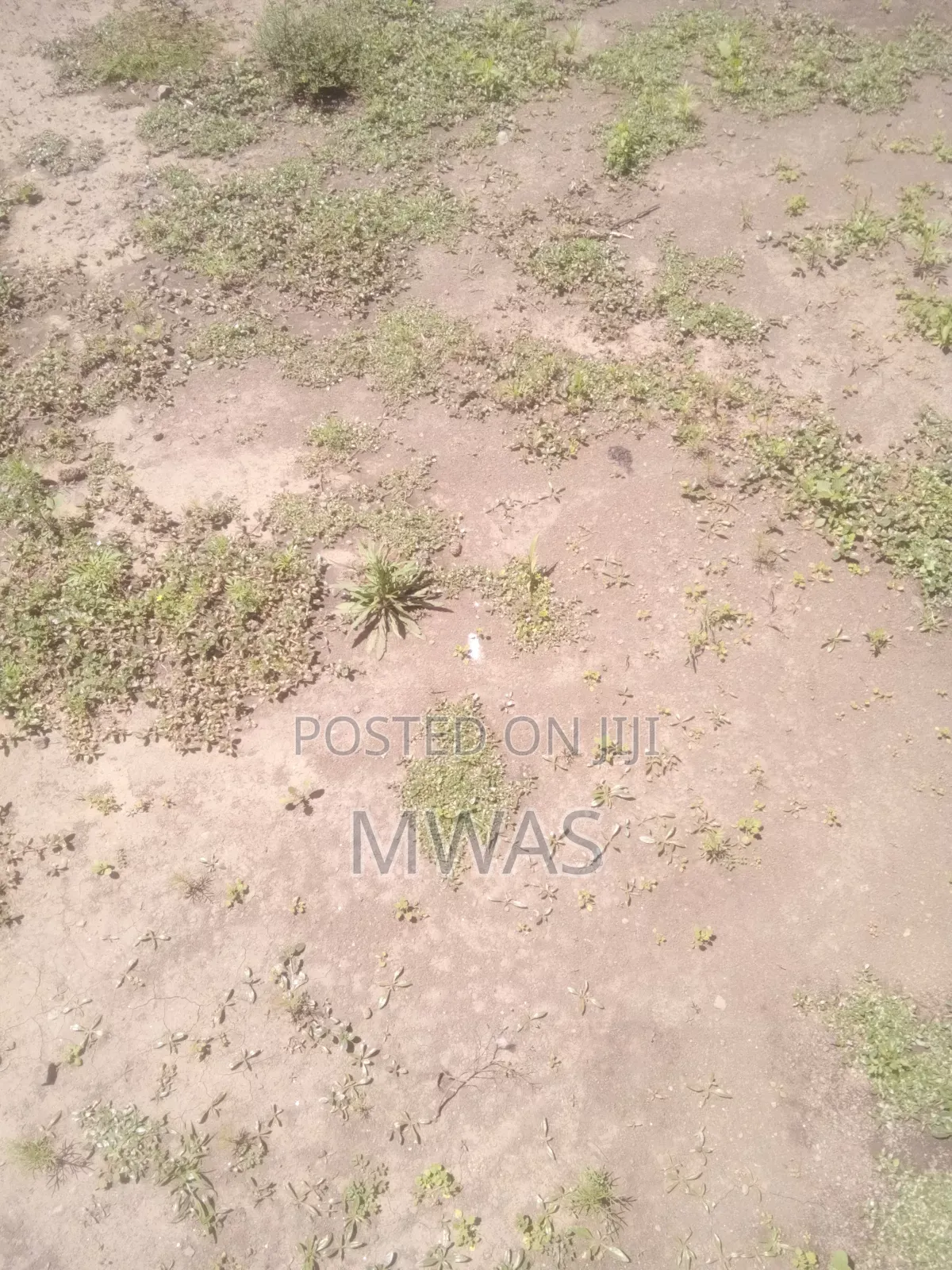 50 X 100 Plot Naivasha Kinamba