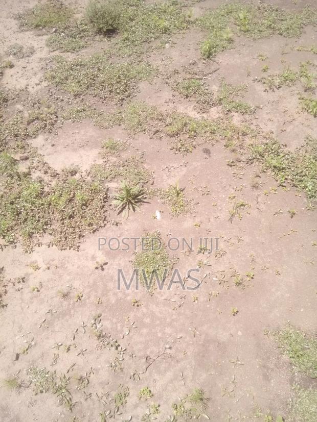 50 X 100 Plot Naivasha Kinamba