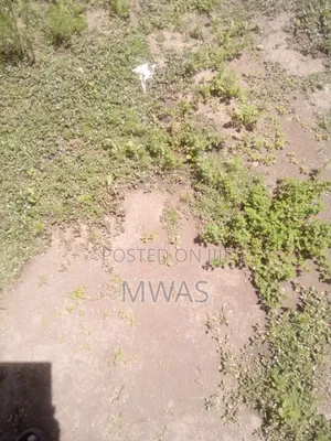 50 X 100 Plot Naivasha Kinamba
