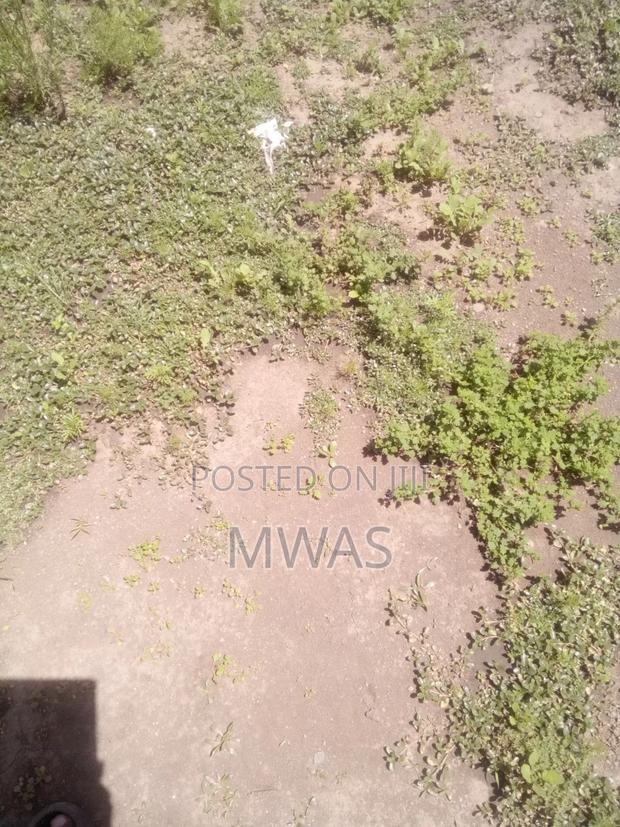 50 X 100 Plot Naivasha Kinamba - thumbnail 2