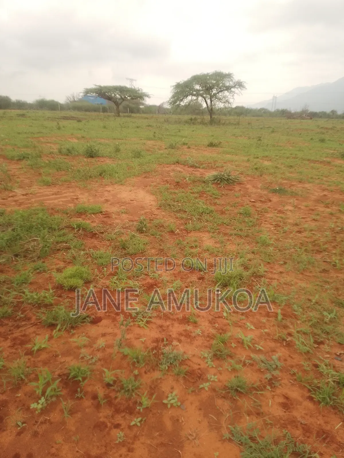 50 X 100 Voi. Plots for Sale