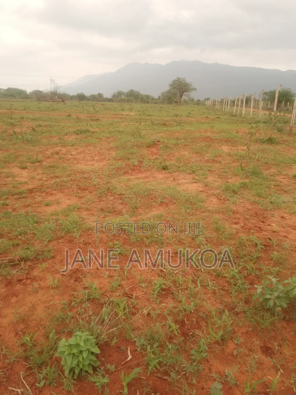 50 X 100 Voi. Plots for Sale