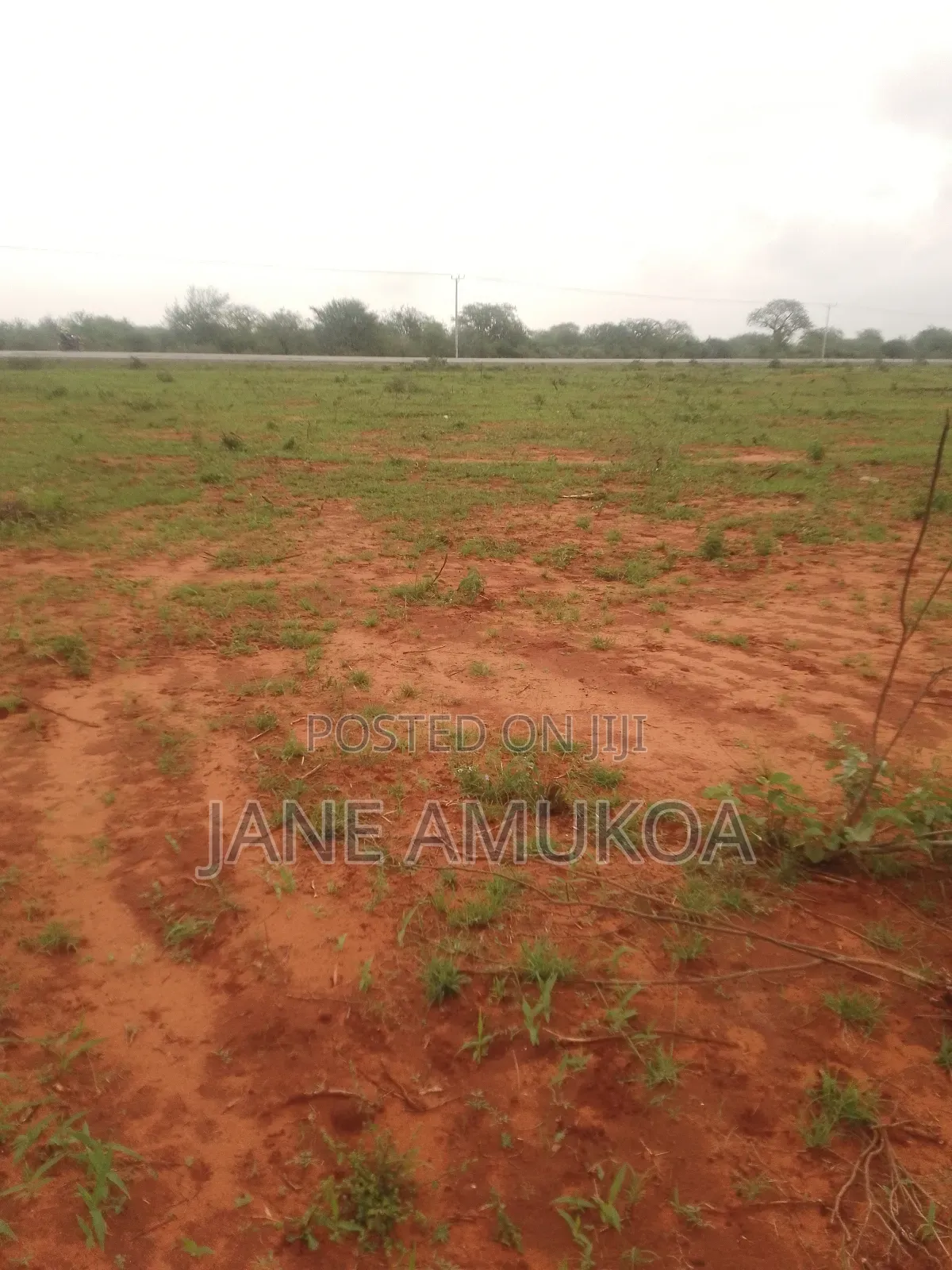 50 X 100 Voi. Plots for Sale