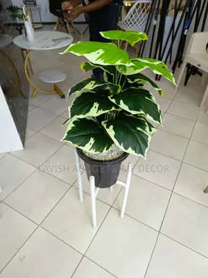 Artificial Plant With Metallic Stand – Modern Home Décor