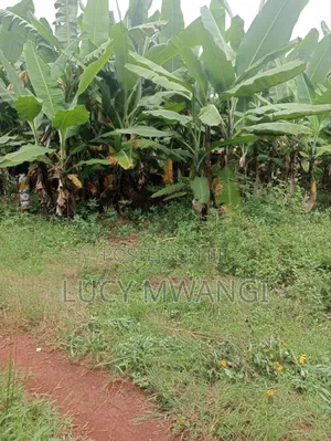 Plot Maragua Gakoigo