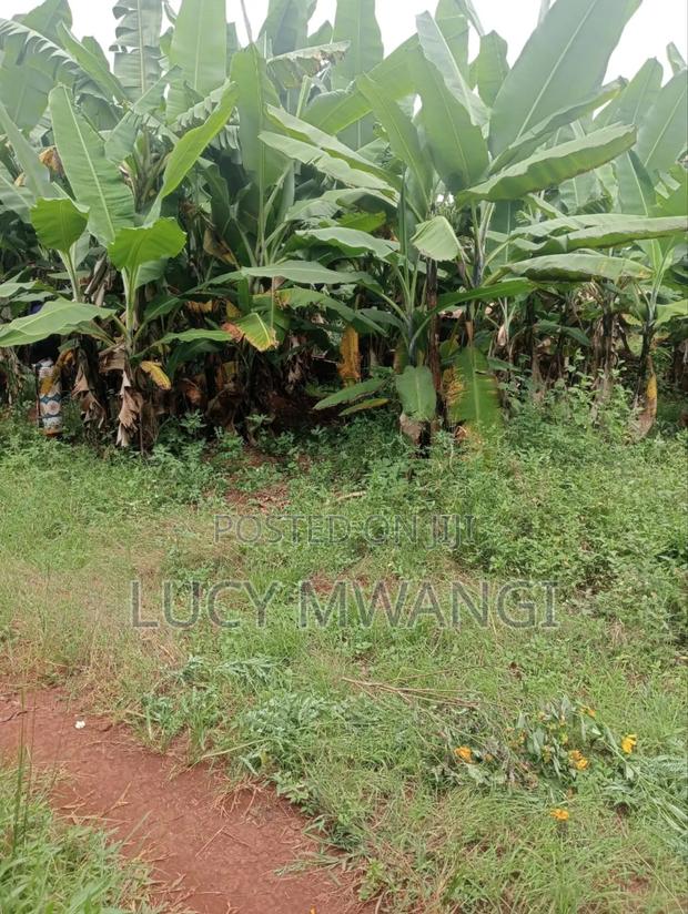 Shamba Maragua Gakoigo - main view