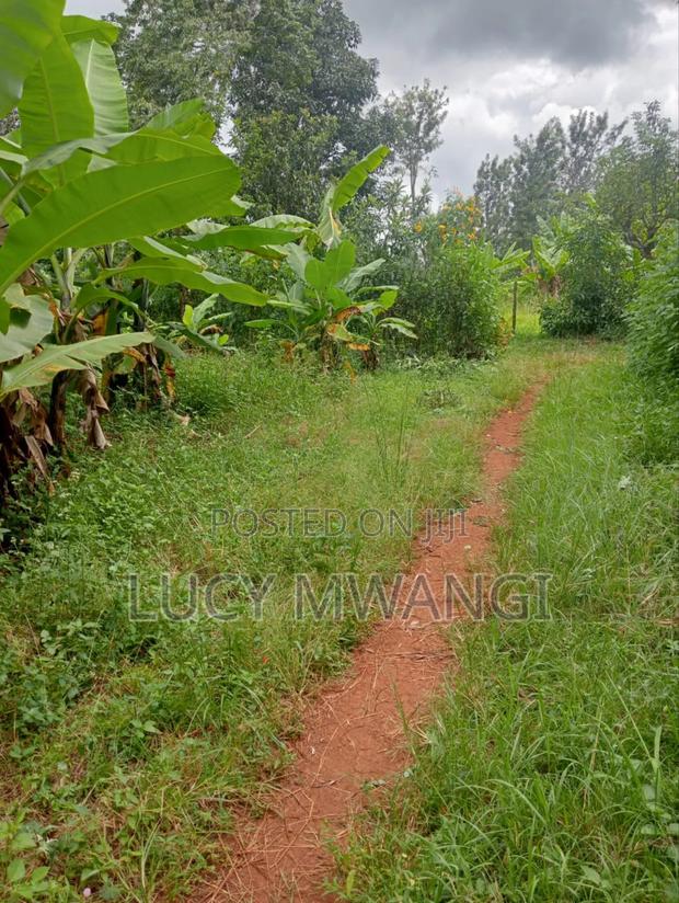 Shamba Maragua Gakoigo - thumbnail 3