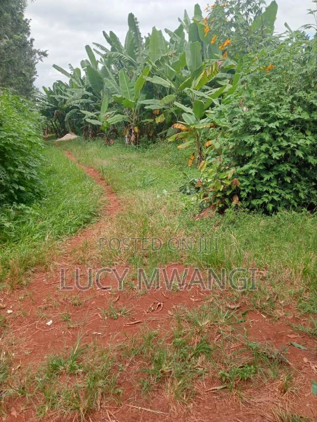 Shamba Maragua Gakoigo - thumbnail 4