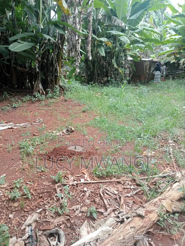 Shamba Maragua Gakoigo - thumbnail 6