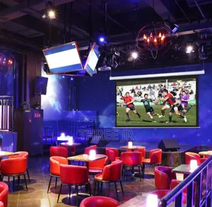 Durable Casing for Electric Projection Screens