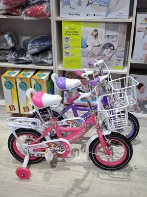 Mini Rider Kids Bike (With Training Wheels )