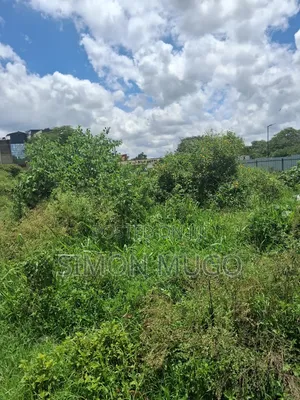 Roysambu Thika Rd Commercial 40x80 Plot Ideal for Garage or Warehouses