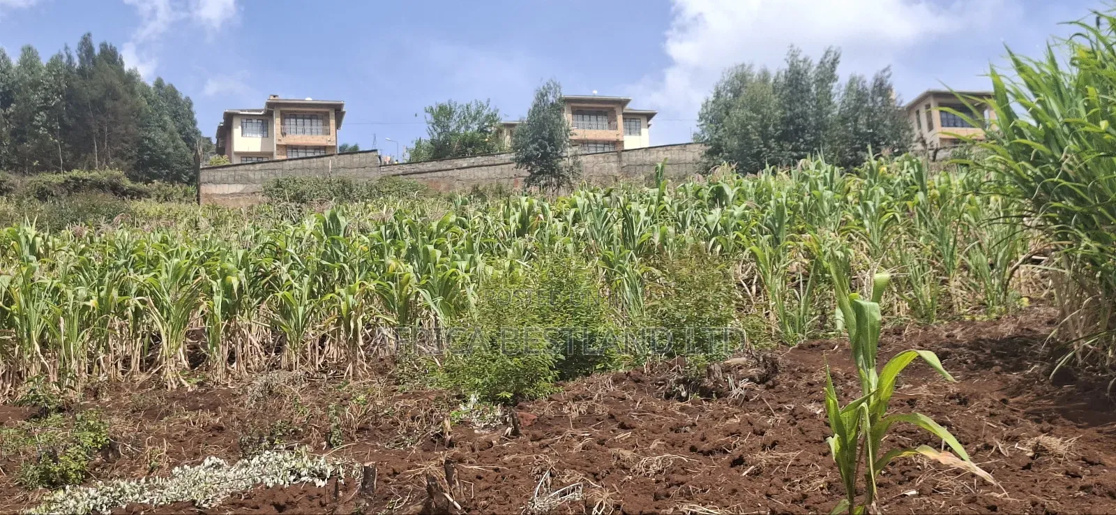 2.5 Acres Available Land for Sale in Kikuyu Muguga