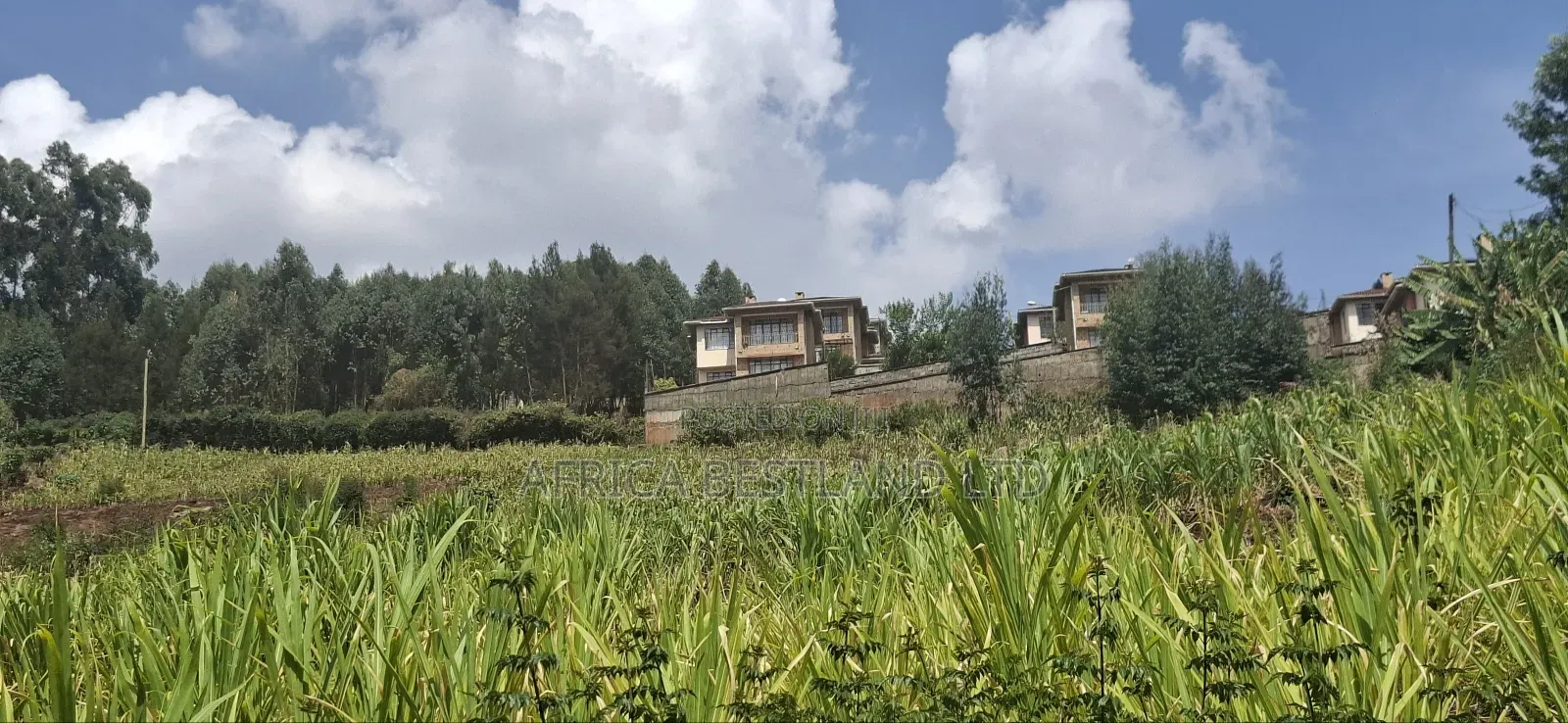 2.5 Acres Available Land for Sale in Kikuyu Muguga