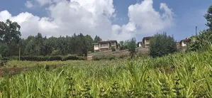 2.5 Acres Available Land for Sale in Kikuyu Muguga