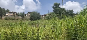 2.5 Acres Available Land for Sale in Kikuyu Muguga