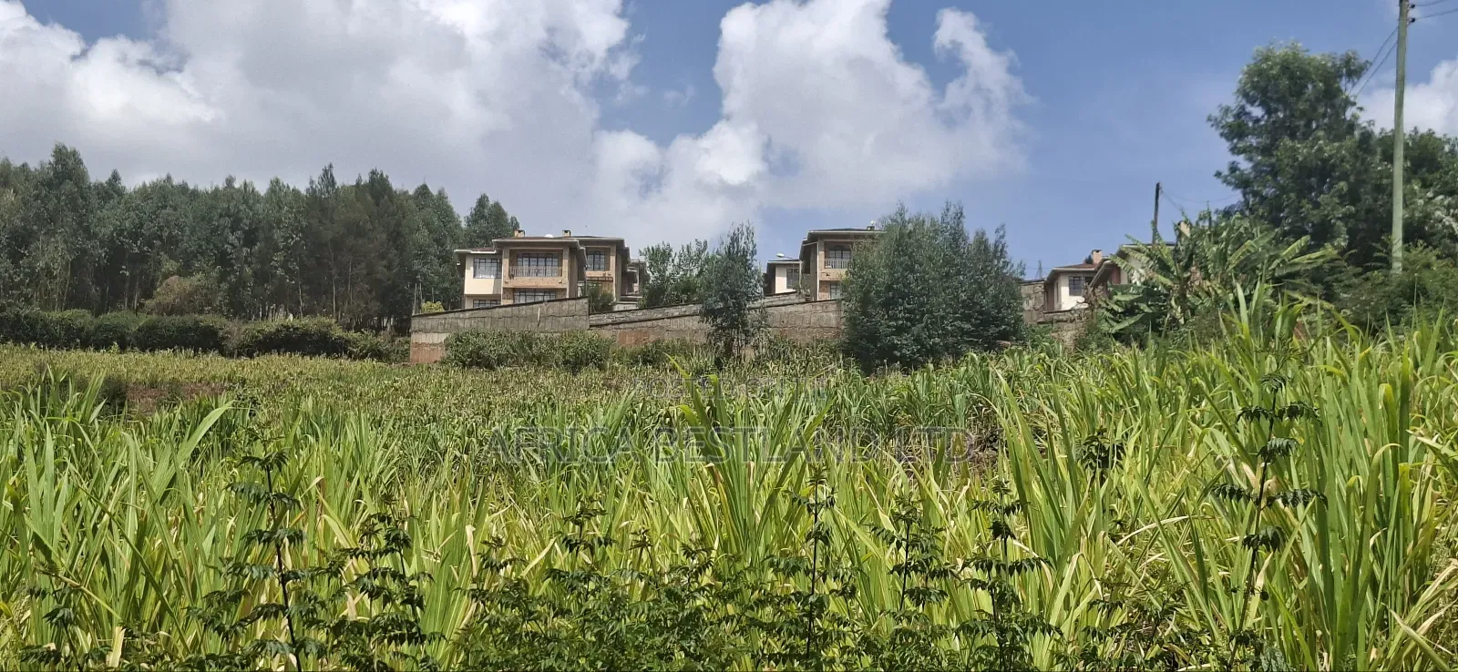 2.5 Acres Available Land for Sale in Kikuyu Muguga