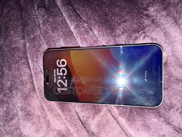 Apple iPhone 15 Pro 256 GB Silver - thumbnail 4