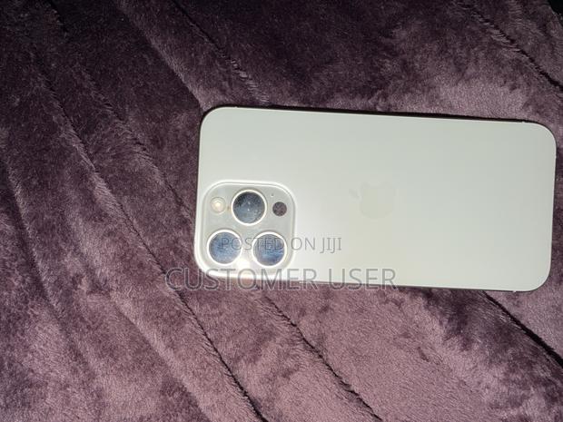 Apple iPhone 15 Pro 256 GB Silver - thumbnail 5