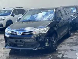 Toyota Corolla Fielder 2019 Matt Black