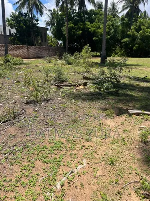 A Quarter an Acre Land