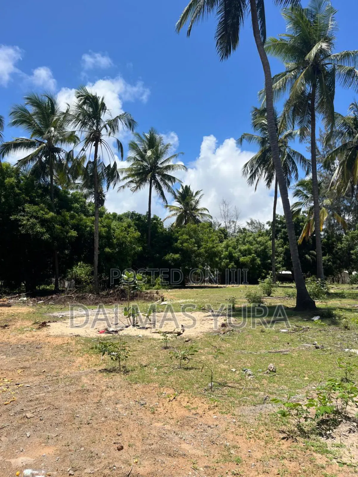 A Quarter an Acre Land