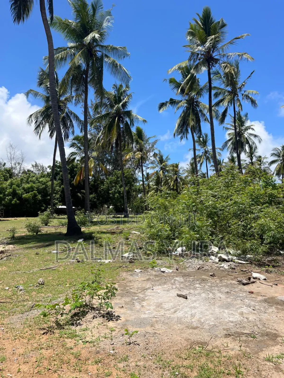 A Quarter an Acre Land