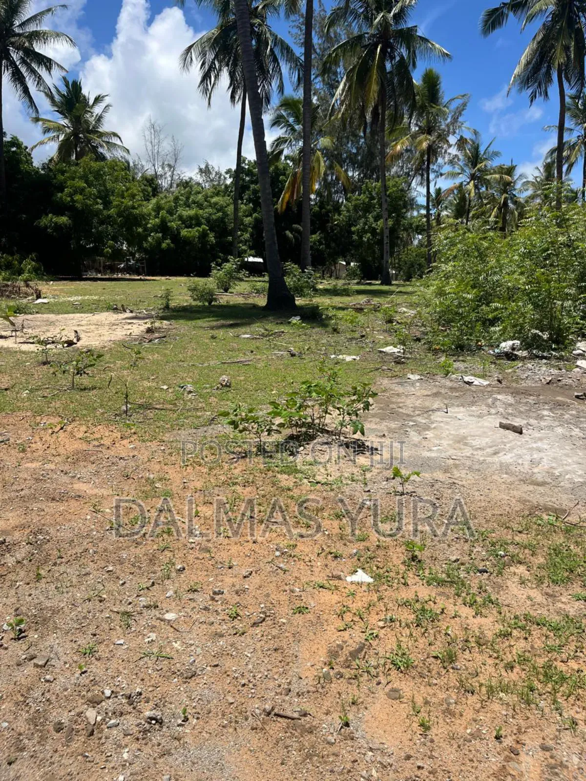 A Quarter an Acre Land