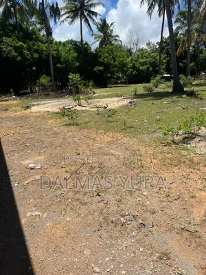 A Quarter an Acre Land