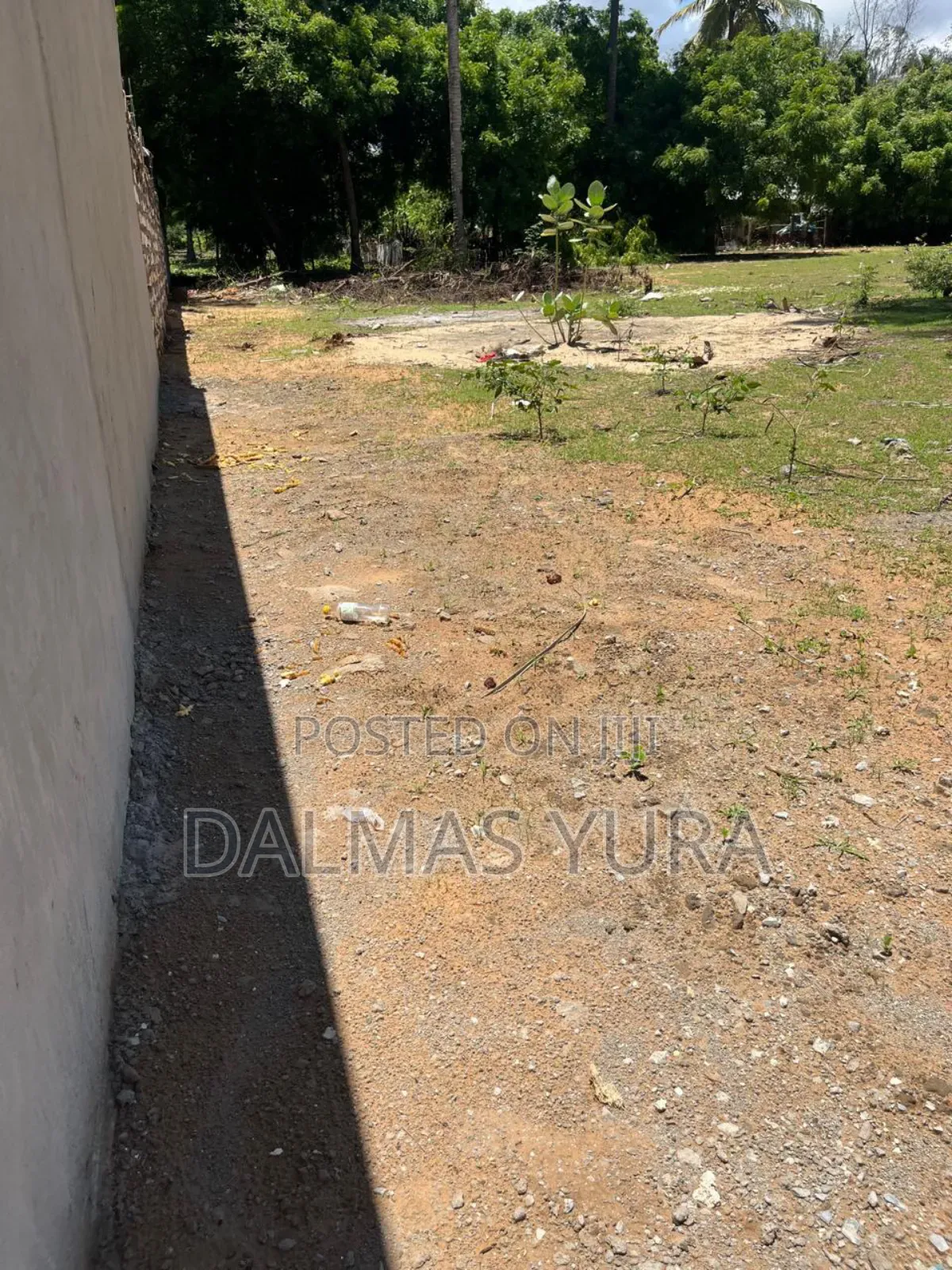 A Quarter an Acre Land