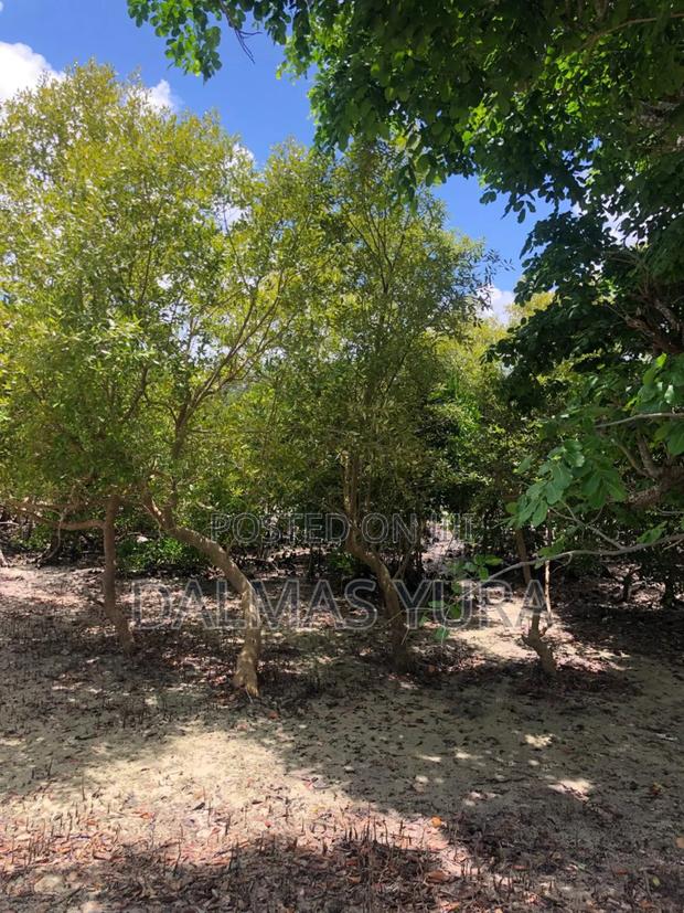 A Quarter an Acre Land - thumbnail 8