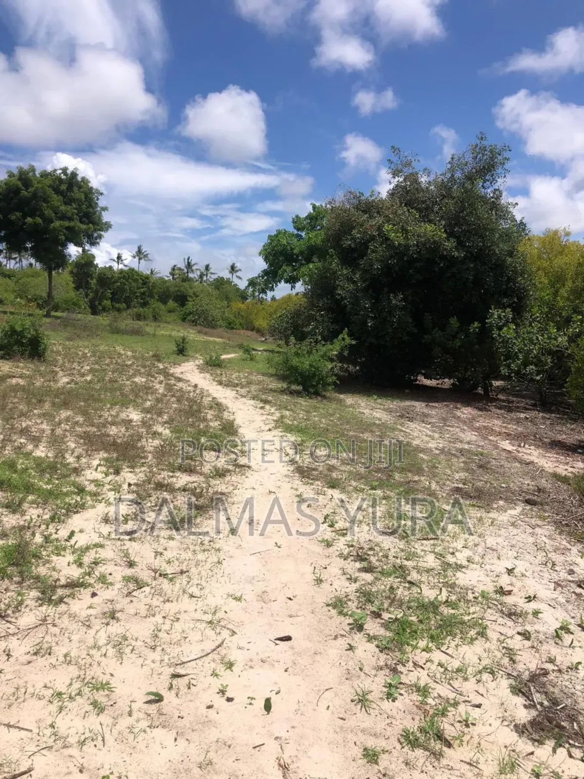 A Quarter an Acre Land