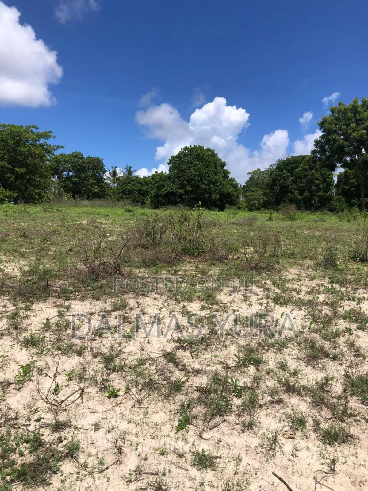 A Quarter an Acre Land