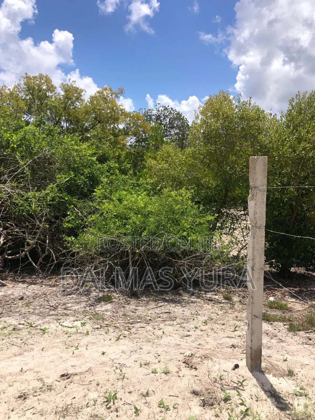 A Quarter an Acre Land