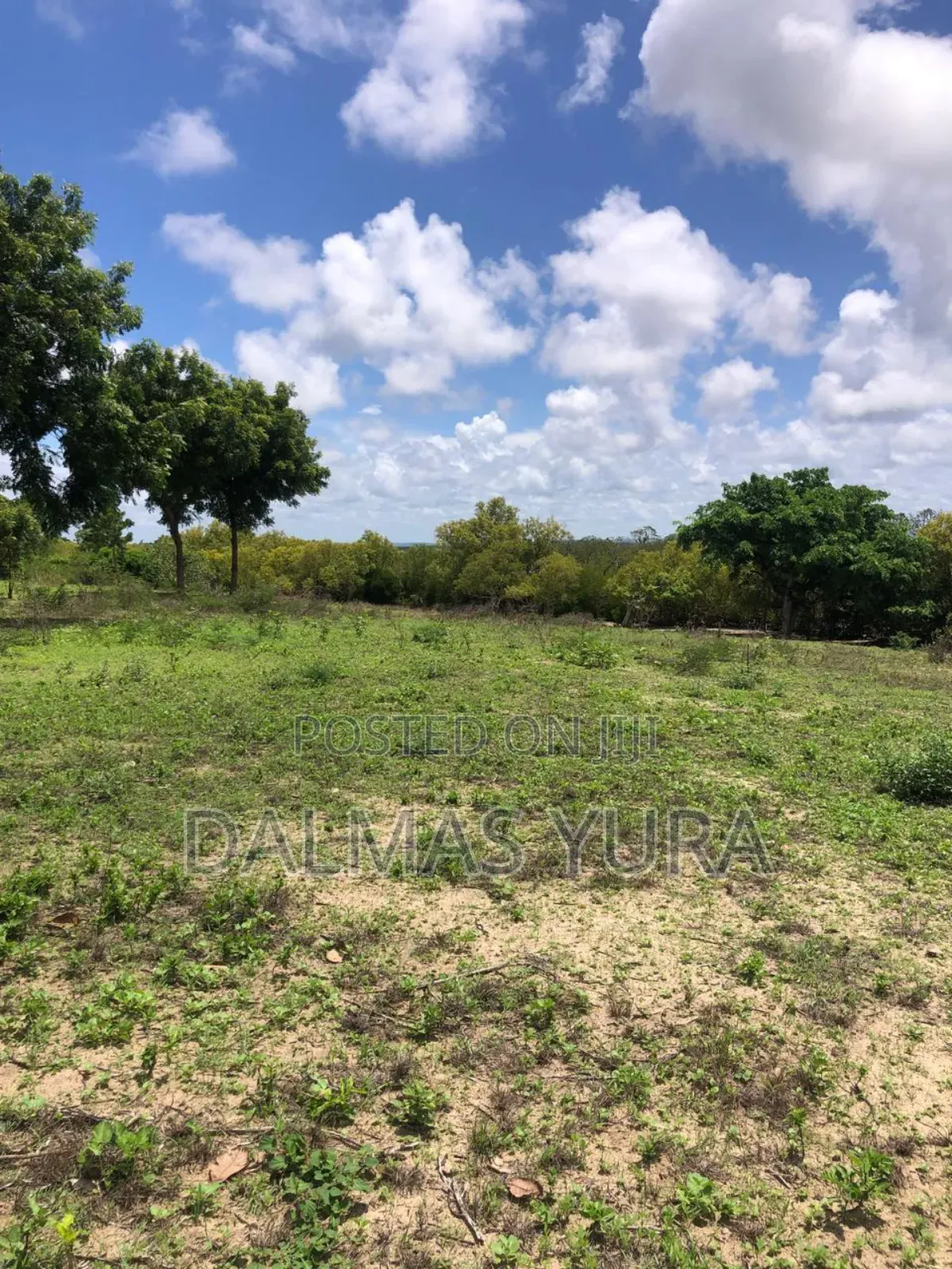 A Quarter an Acre Land