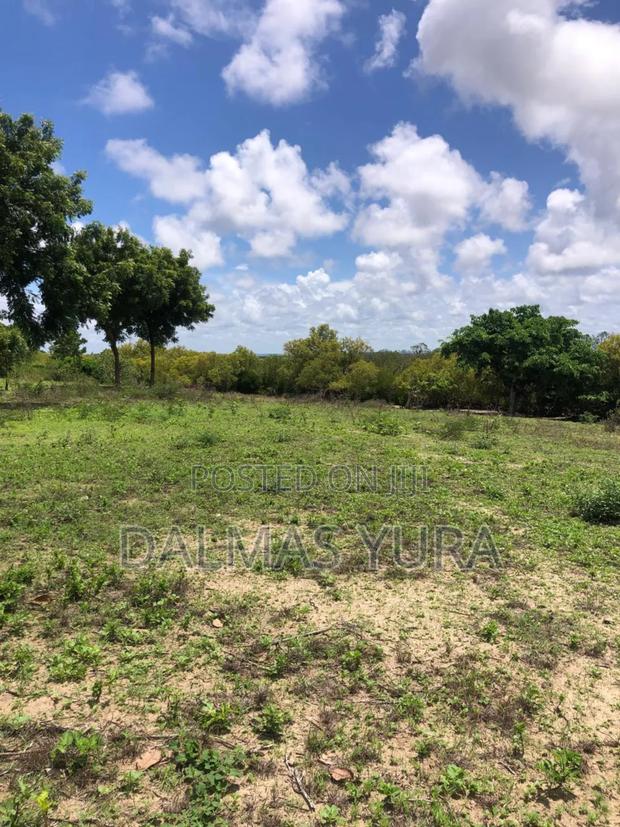A Quarter an Acre Land - thumbnail 12