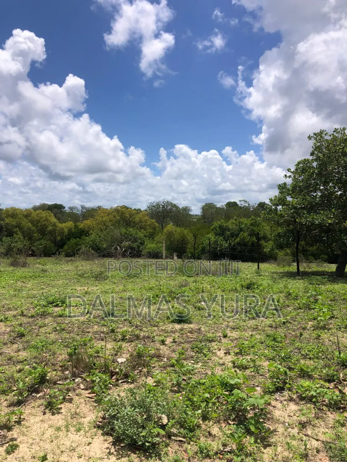A Quarter an Acre Land