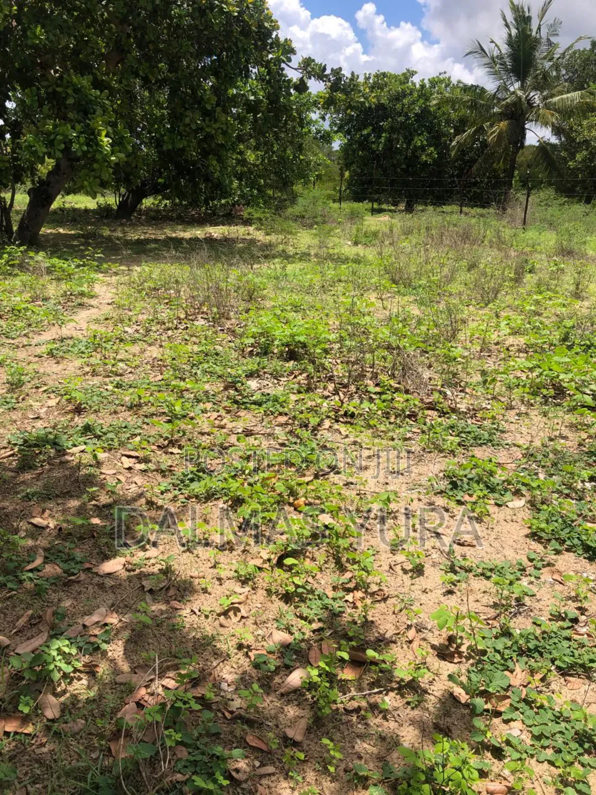 A Quarter an Acre Land