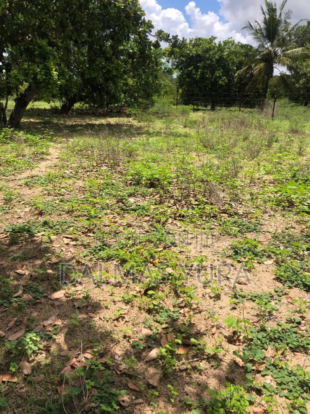 A Quarter an Acre Land - thumbnail 14