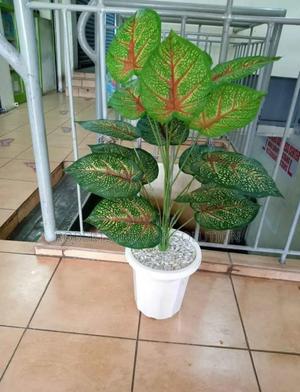 Variegated Aglaonema Red Artificial Plant