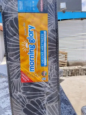 Morning Glory Mattress 5×6×10 , Quilted Foam Mattress