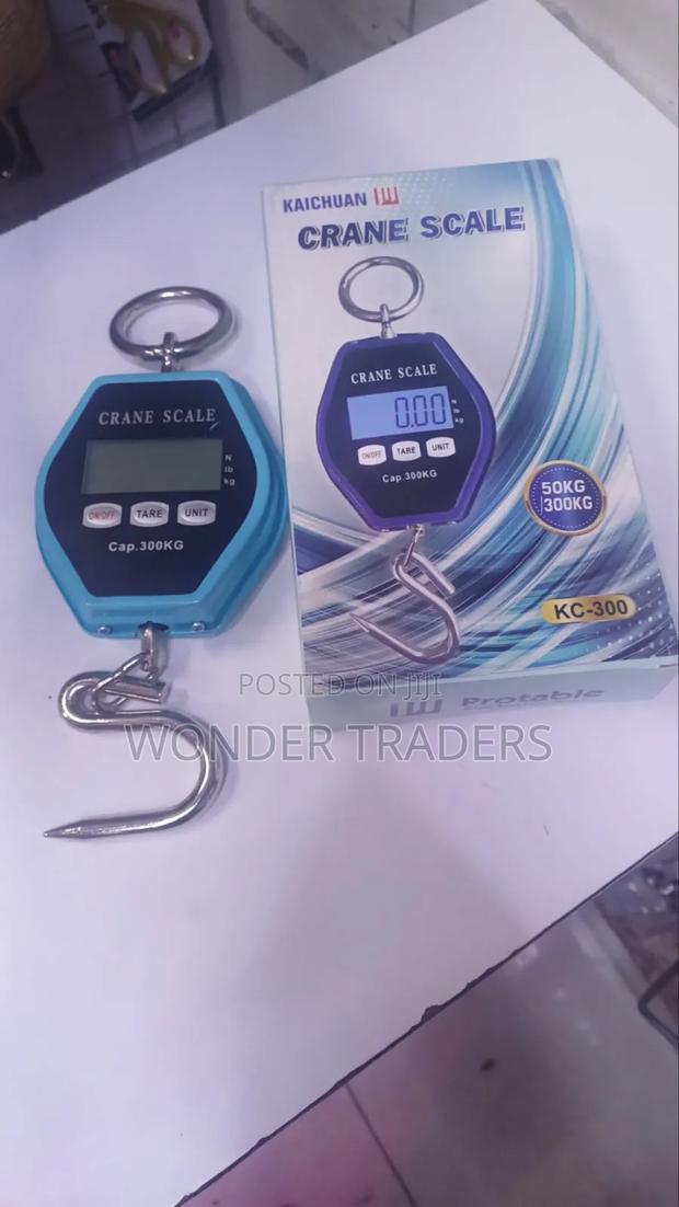 Crane New Design 300kg - main view