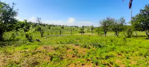 Prime 1.75 Acres For Sale – Mtwapa–Kikambala