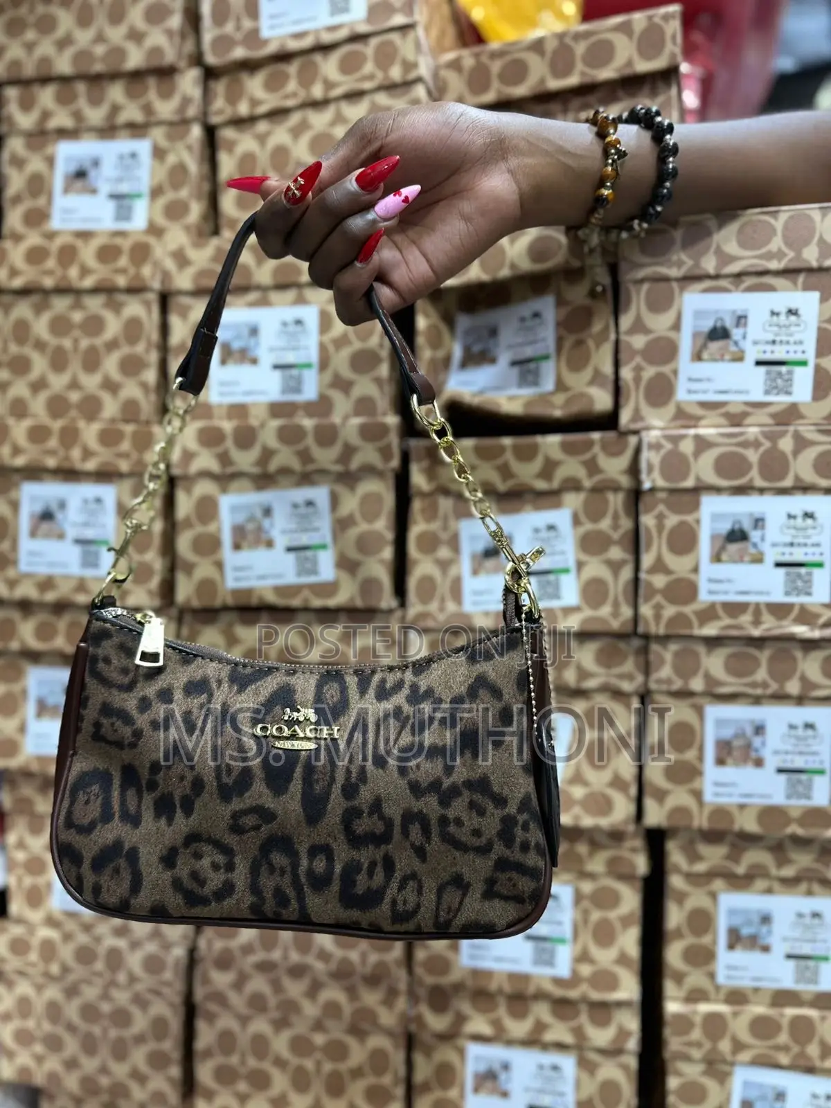 New !! Leopard Print Coach Teri