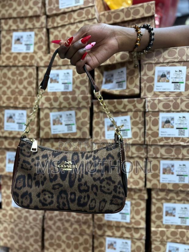 New !! Leopard Print Coach Teri - thumbnail 2