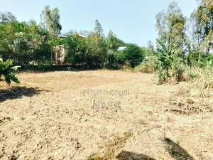 Plot 50 X 50