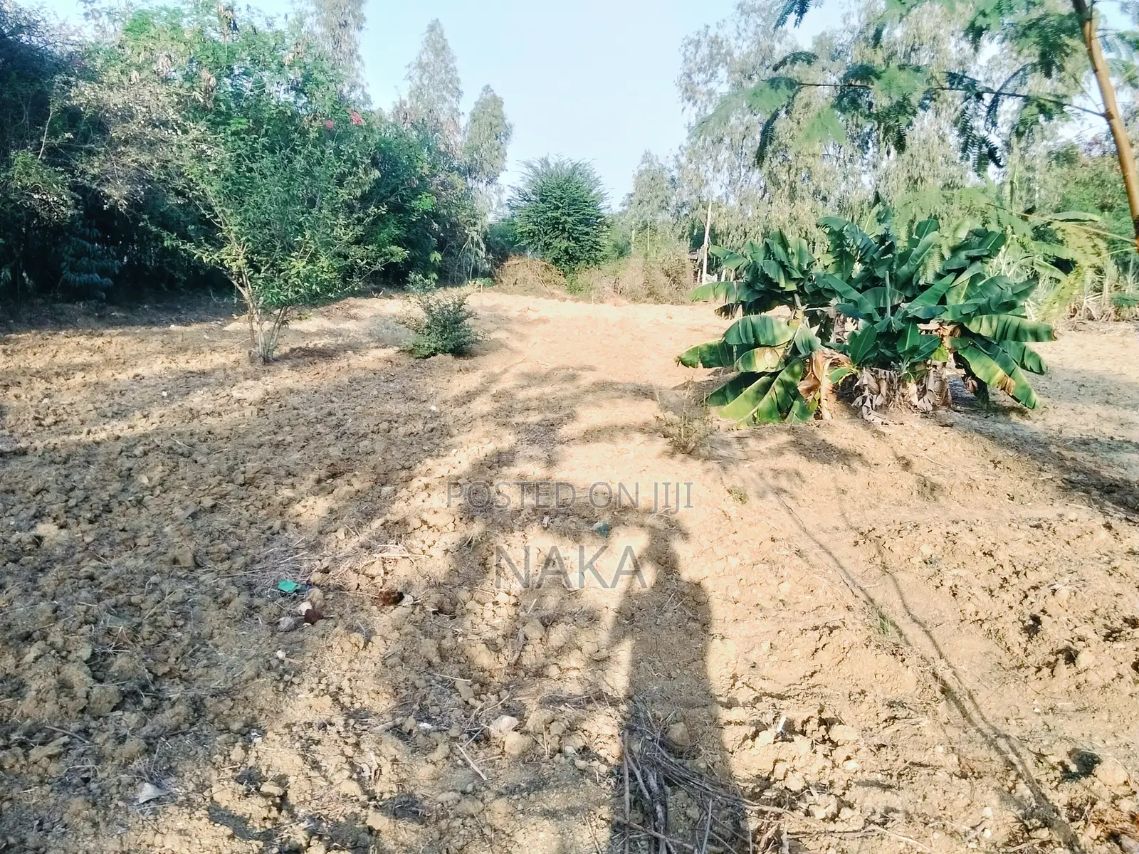 Plot 50 X 50